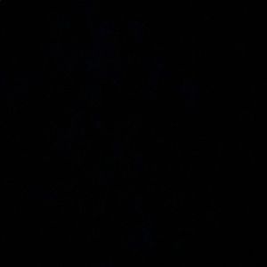 Meet your Posher, Mirella